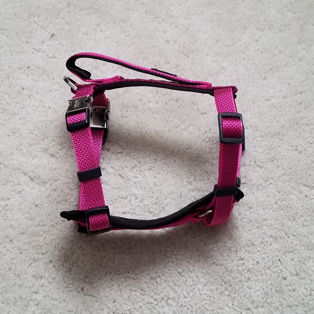 DOG 🐾 KONG Comfort Harness S Magenta